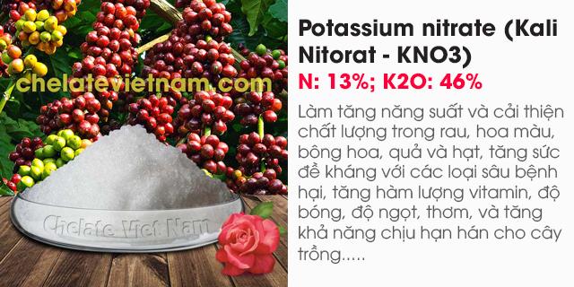 Potassium nitrate (Kali Nitorat - KNO3) N: 13%; K2O: 46%